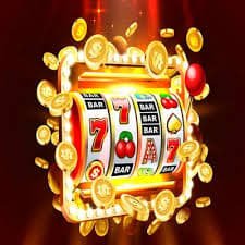 56 com bet